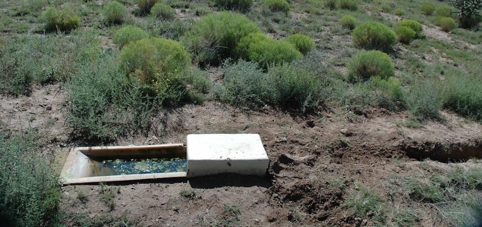 Fiberglass Quail & Wildlife Waterer, August 2005