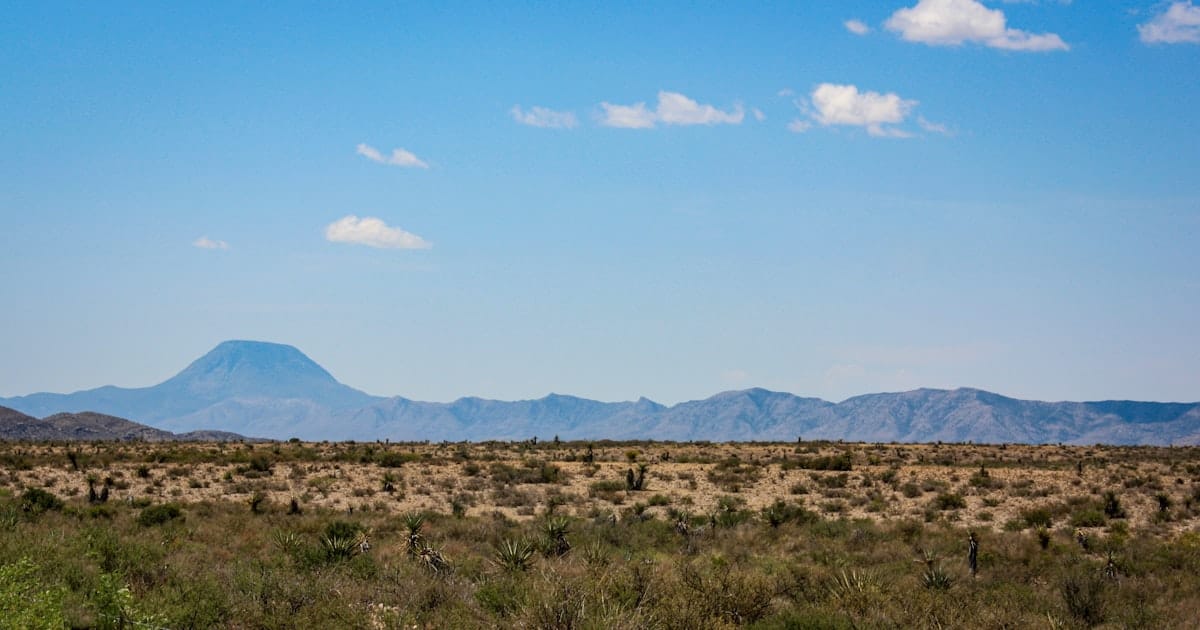 West Texas desert grassland