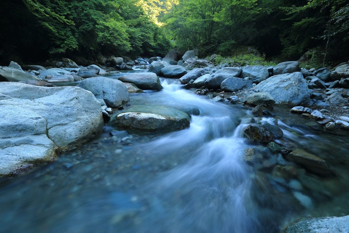 With Dams Removed, Salmon Will Have the Run of a Western River