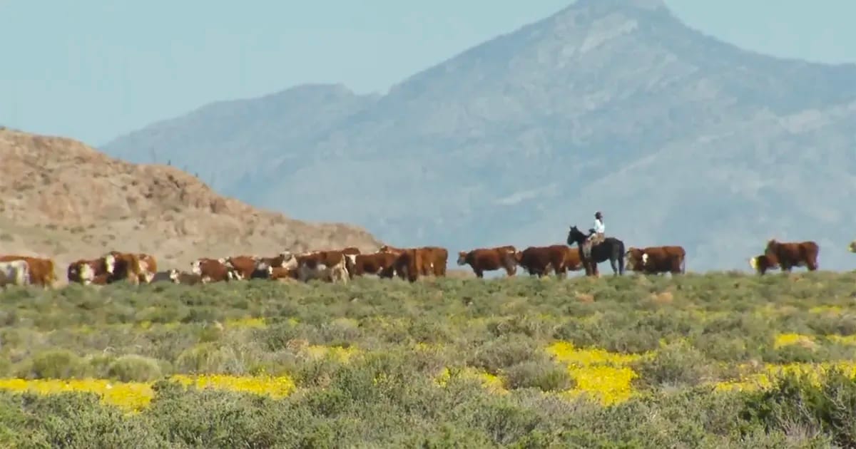 Ag and Energy Groups File Lawsuit Challenging New BLM Public Lands Rule