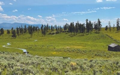 The Diesel-Powered Beavers of the Big Hole