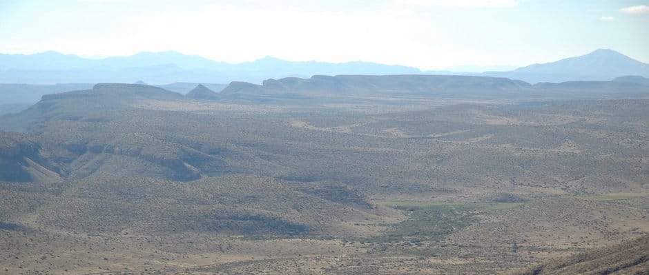 Chihuahuan Grasslands