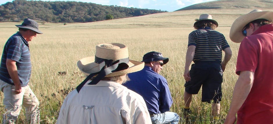 Circle Ranch - Pasture Cropping