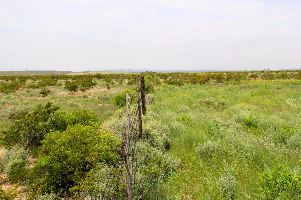 "Drought Busters" at Circle Ranch