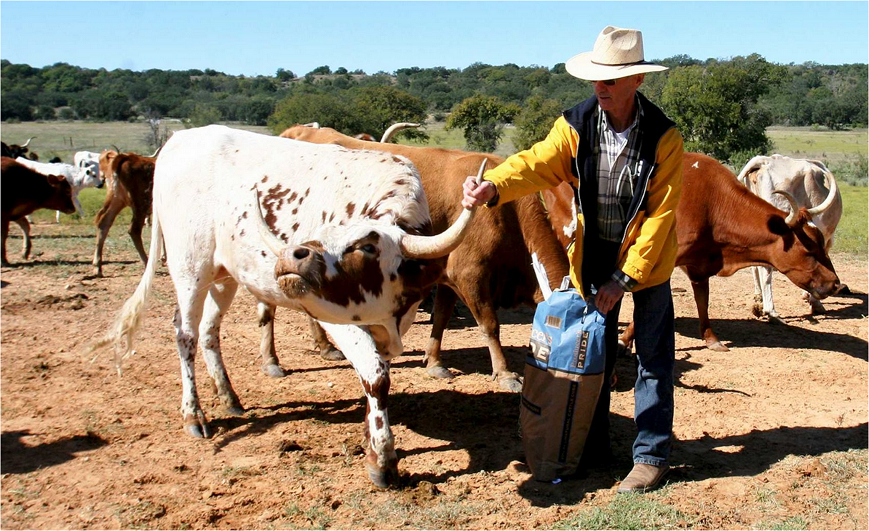 Attacking Biodiversity on Texas' Public Lands: Wild Longhorns May be Nearing the End of the Trail in Park