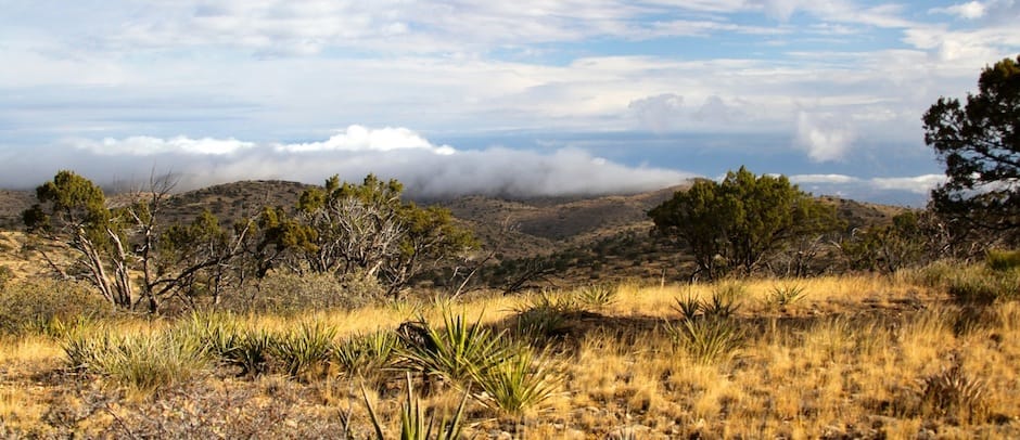 High-Desert Restoration Technicians: June 2014