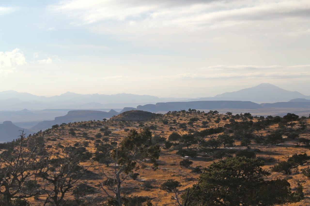 Mule Deer Hunting in the Sierra Diablos