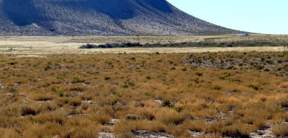 circle_ranch_grasslands