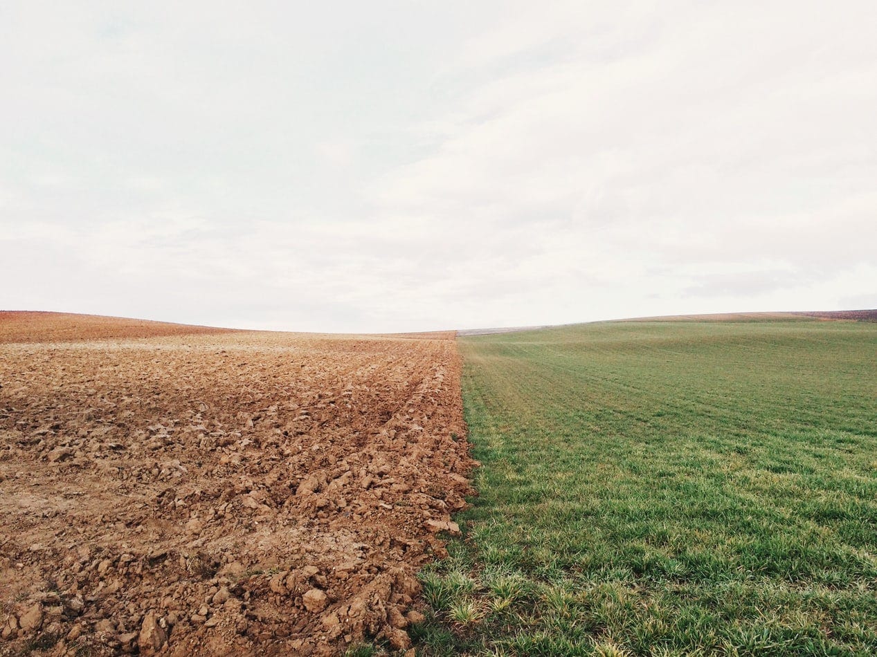 soil_restoration_west_texas