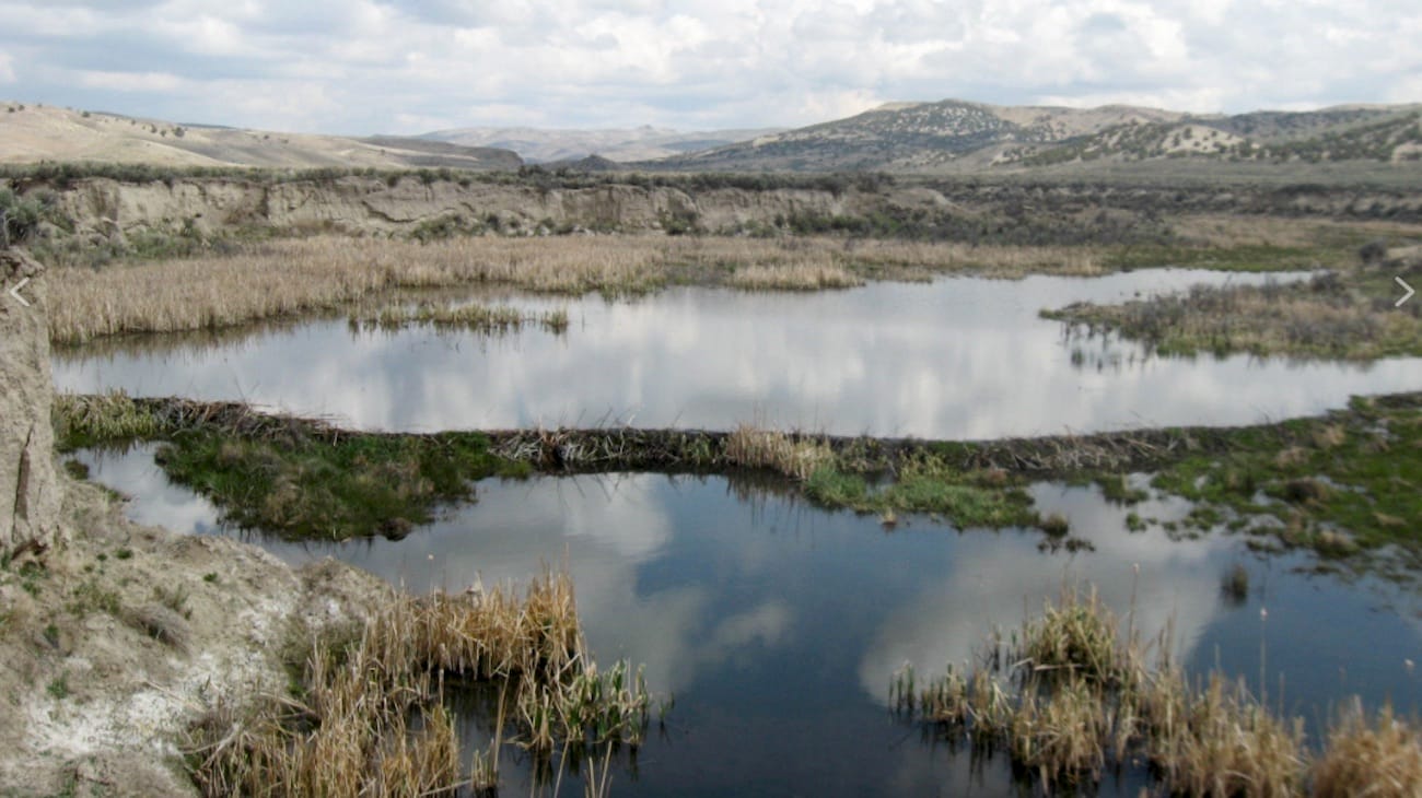 desert_beaver_dam