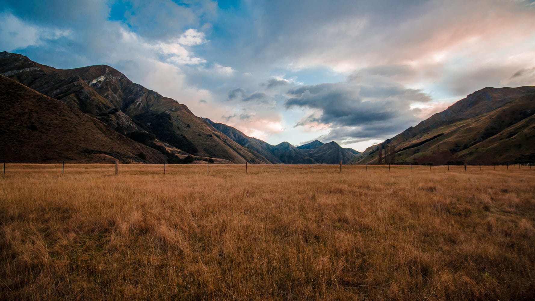 Prairie_grasslands