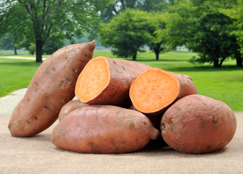 sweet-potatoes