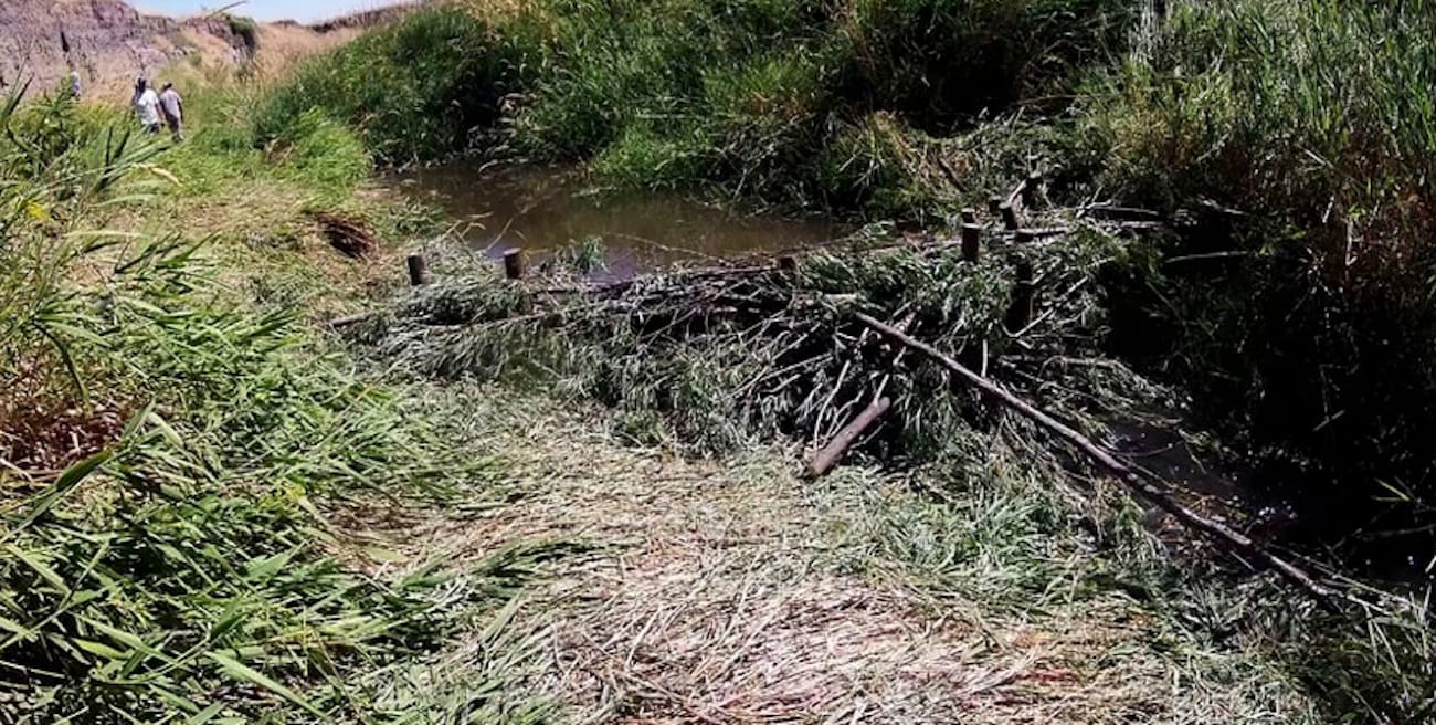 snake_river_beaver_dam