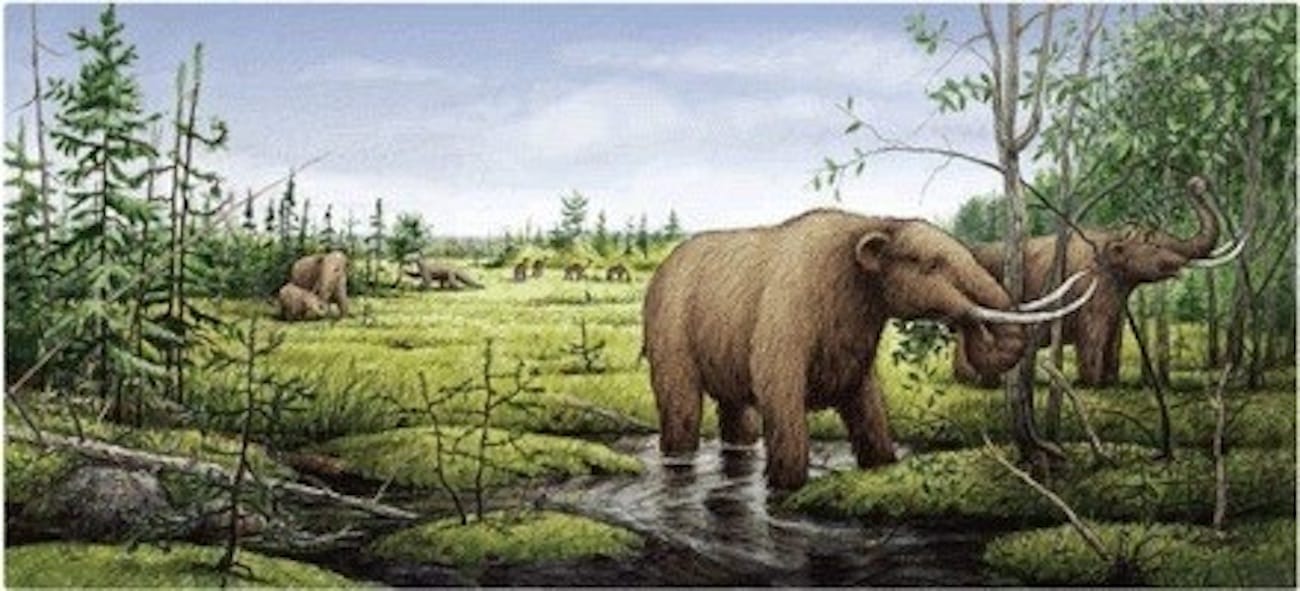 Humans and Mastodons Coexisted in Florida, New Evidence Shows