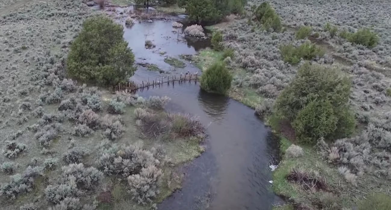 idaho_artificial_beaver_dam