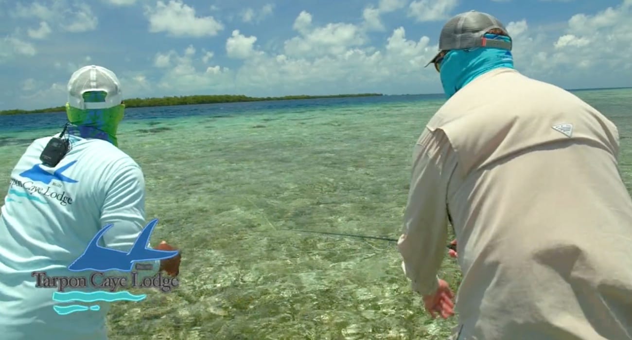 Flats Fly Fishing at Tarpon Caye Lodge in Belize