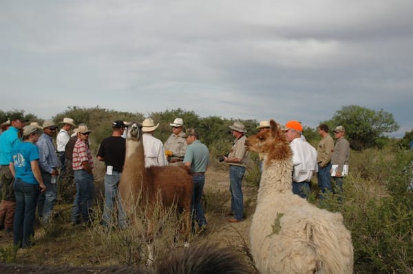 Students of Quail From a Broad Range of Backgrounds: QuailMasters 2010 Visited Circle Ranch June 7, 2010.