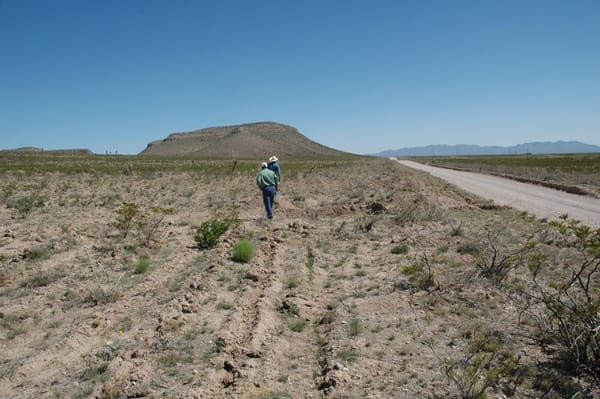 Planting Cereals in Desert Using Yeomans Plow