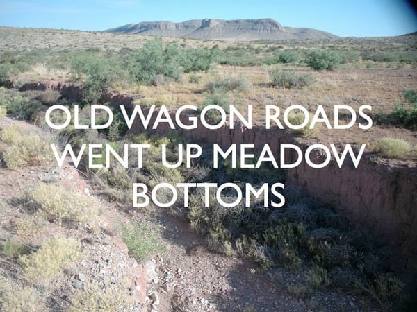 Old Roadbeds Cause Erosion