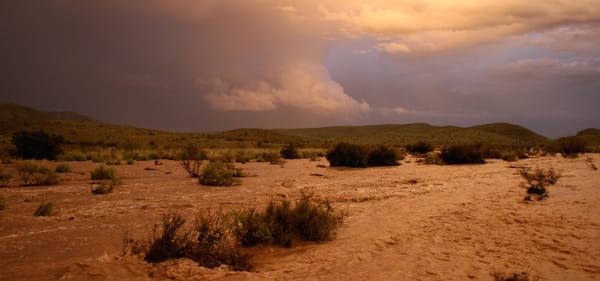 Flash Flood in 17 Draw, August 31, 2006