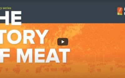 The Story of Meat