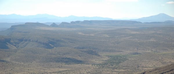 Chihuahuan Grasslands