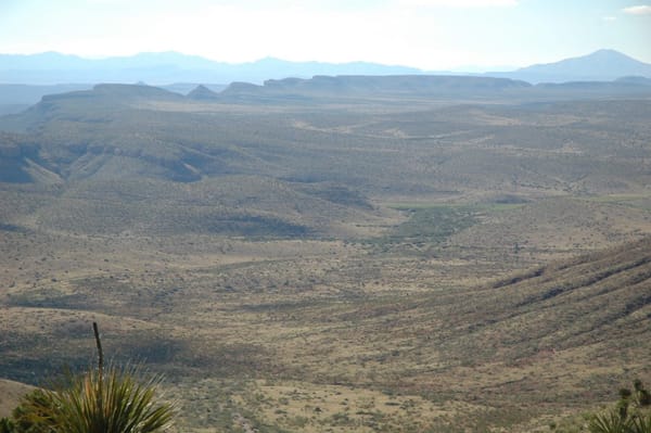 Grasslands and Riparian Draws in West Texas