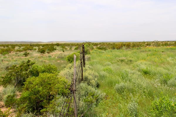 "Drought Busters" at Circle Ranch