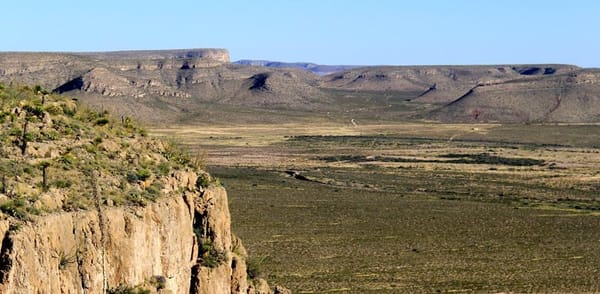 Cows and Keyline: Restoring Desert Grasslands