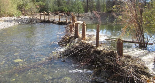 artificial_beaver_dam