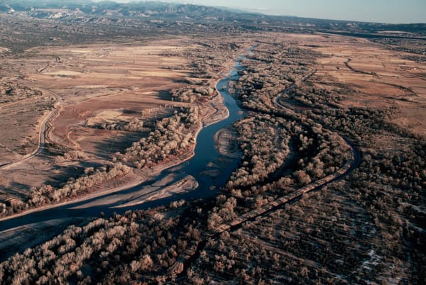 new-mexico-rio-grande