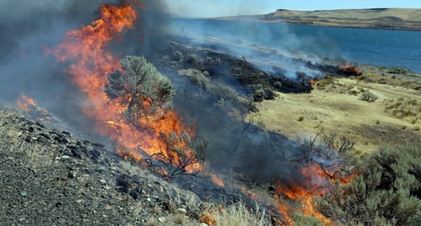 sagebrush_burning