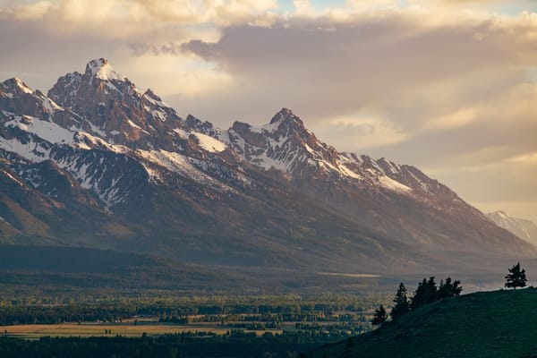 wyoming_migrations_wildlife