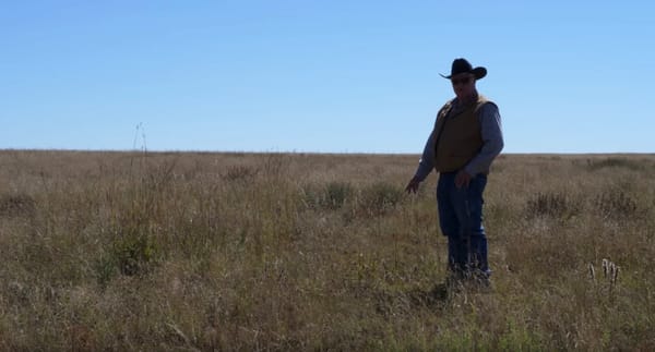 stewardship_with_vision_episode_6_moore_land_cattle