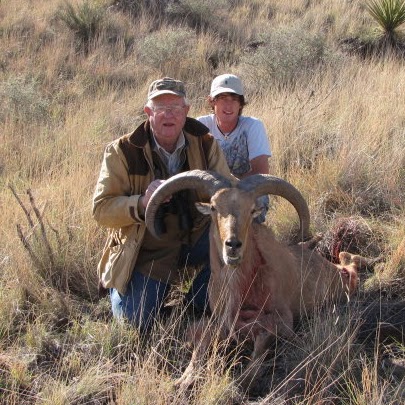 aoudad18