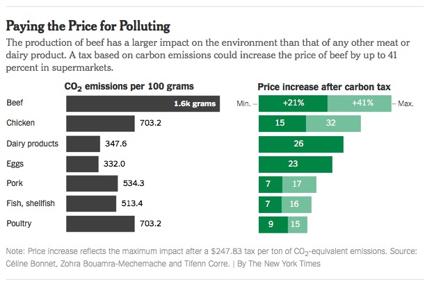 paying_the_price_of_polluting