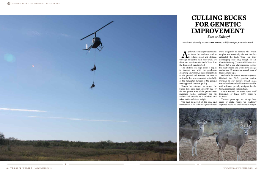  texas_wildlife_magazine_culling