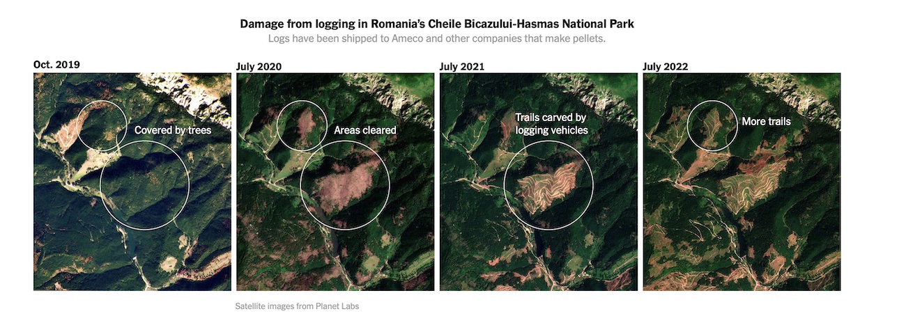 Damage_from_logging_in_Romania