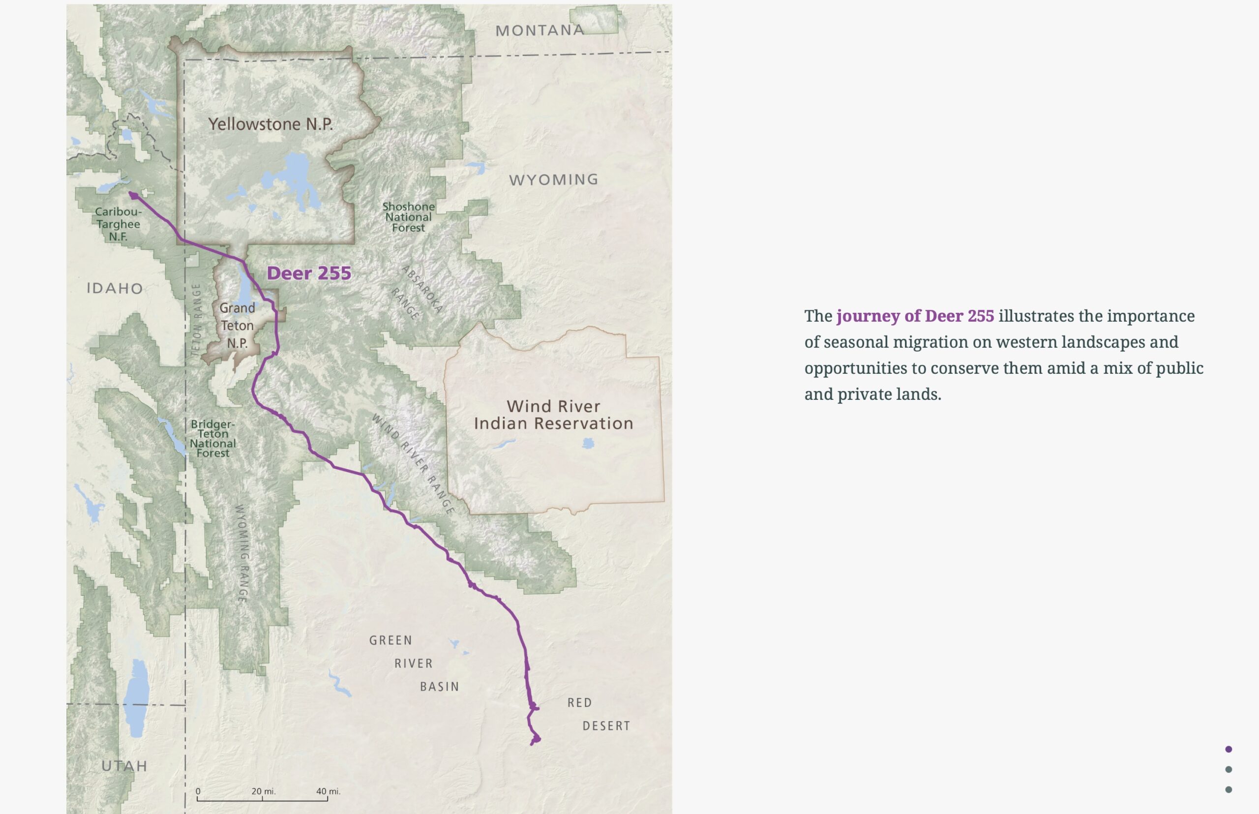 deer_255_migration_map