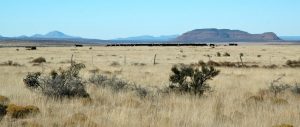 Circle Ranch - Genuine Land Stewardship
