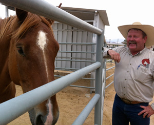 With his spurs jingling, Corral Manager Grant Lockie takes me to see a few dozen young horses. Corral Manager Grant Lockie adopted a wild horse he calls Bubba. Lockie prefers wild horses to those bred in captivity. (Image credit: Caitlin Esch/KQED)