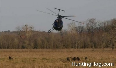 helicopter-hog-hunting-in-texas-0101