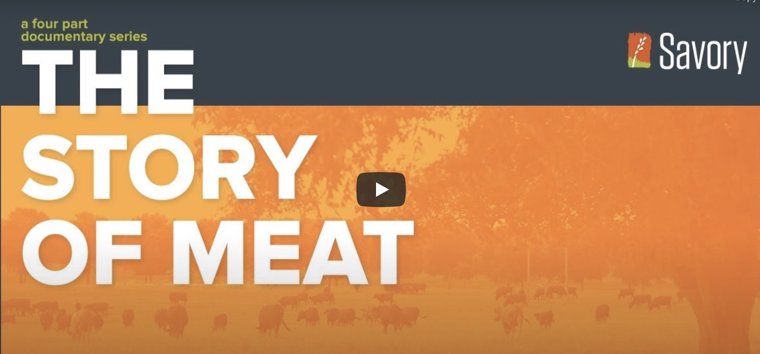 The Story of Meat