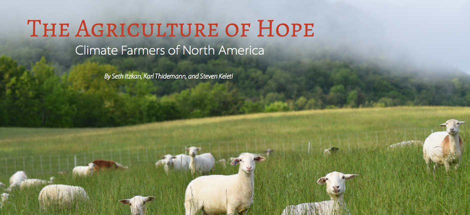 the_agriculture_of_hope