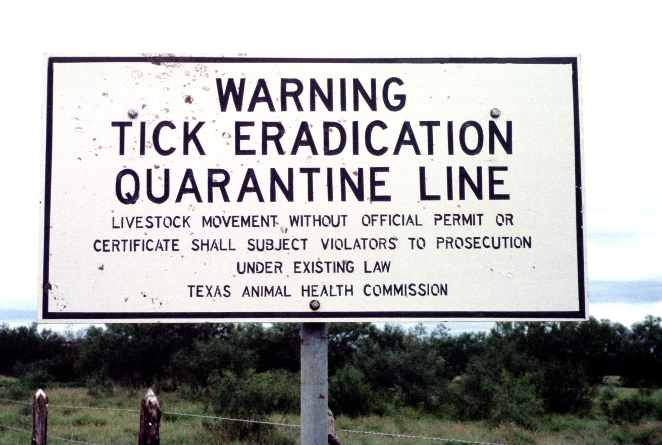 Cattle-Fever-Tick-quarantine-road-sign-25