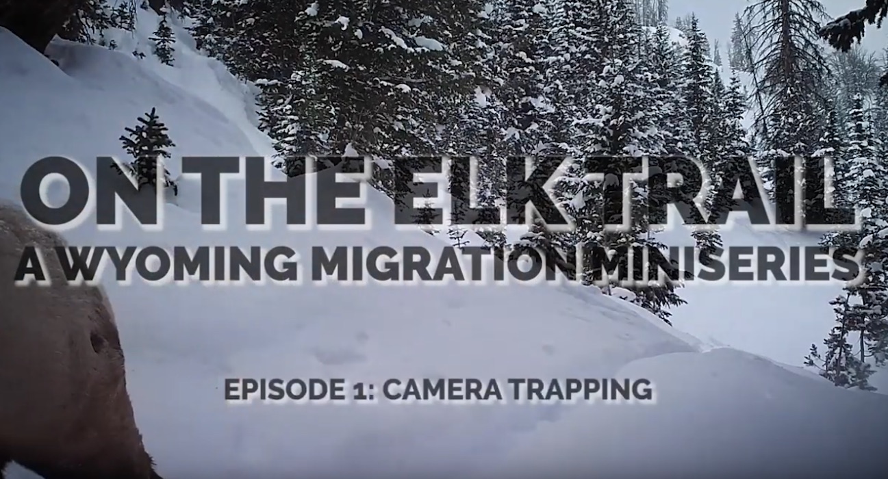 on_the_elk_trail_episode_1