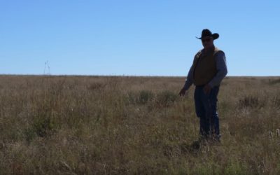 stewardship_with_vision_episode_6_moore_land_cattle