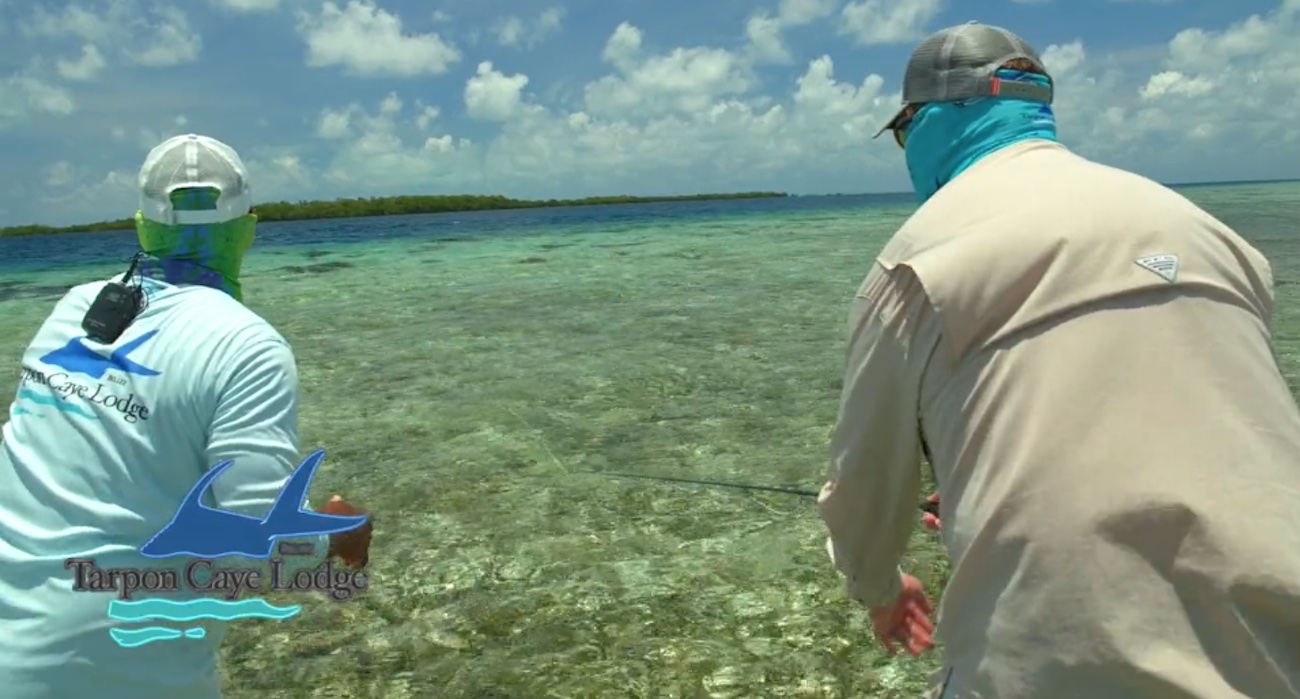 Flats Fly Fishing at Tarpon Caye Lodge in Belize