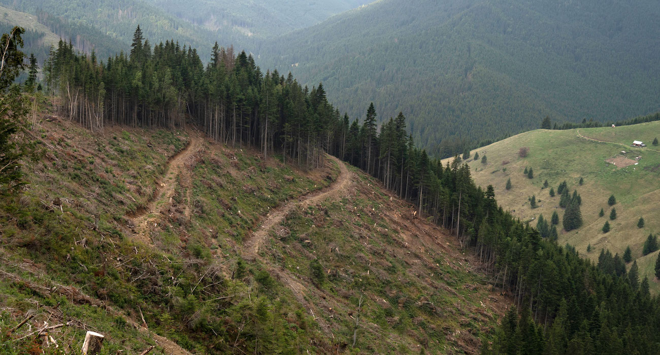 europe_forests_logging