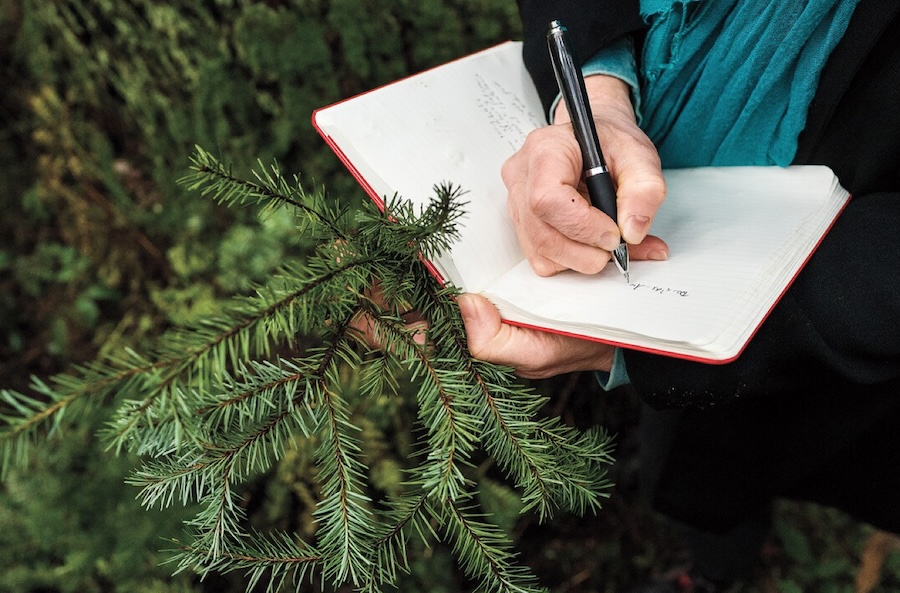 this is a pitcuire of Suzanne Simard writing in a notepad in a forest